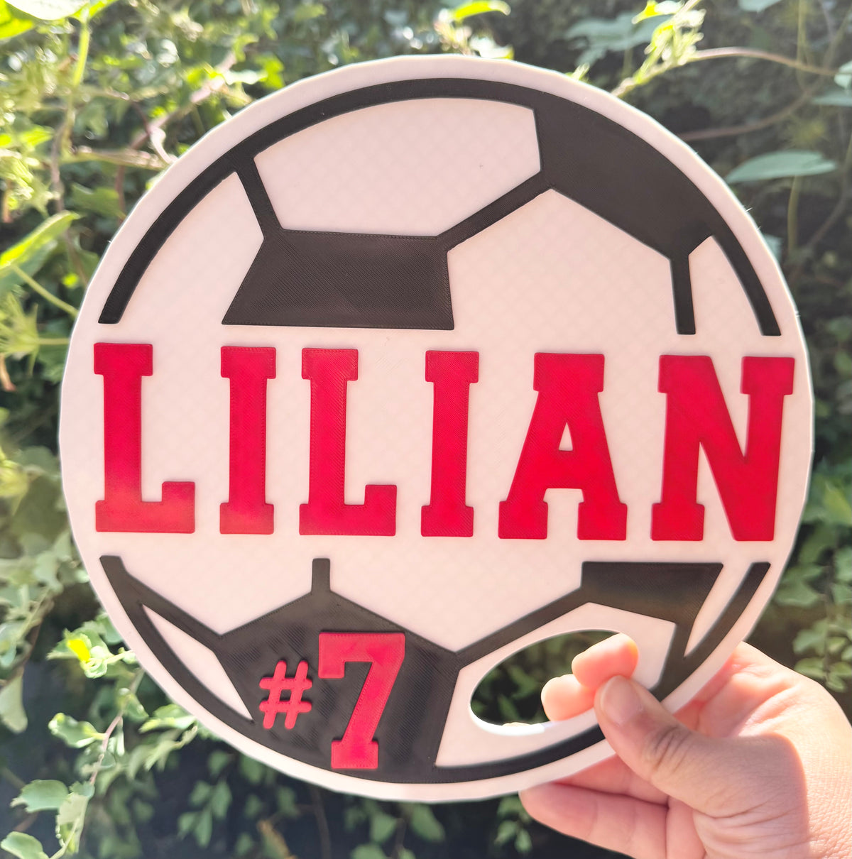 Soccer spirit fan