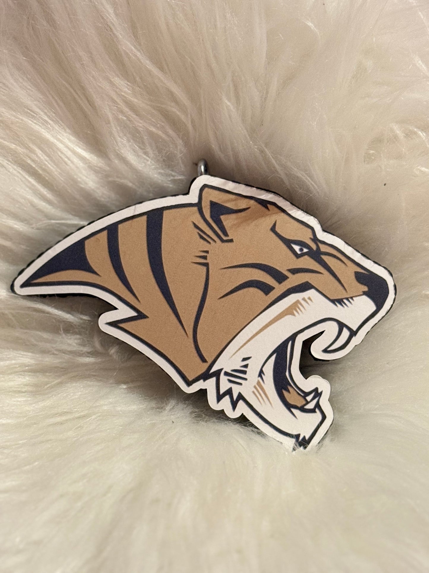 Ardmore Tigers freshie