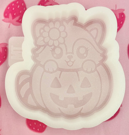 Raccoon in a pumpkin mold