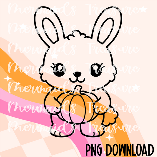 Rabbit holding a pumpkin PNG