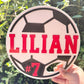 Soccer spirit fan