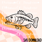 Bass fish SVG